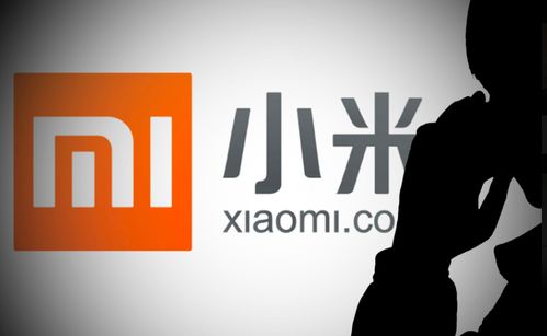 小米有品關聯公司經營范圍擴展，新增新能源汽車換電設施與票務代理服務